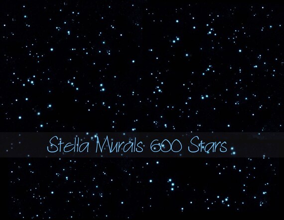 Night Time Glow Star Stickers Seconds