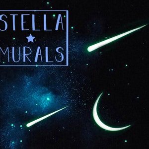 May include: A dark blue background with a galaxy of white and green stars. The text "STELLA MURALS" is in a white box with a white star in the upper right corner. There are two green shooting stars and a crescent moon.