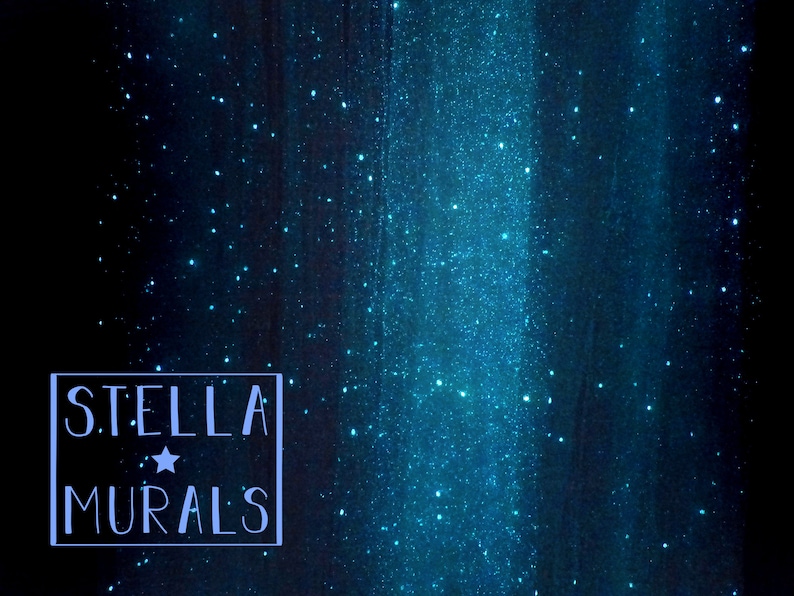 May include: A dark blue background with a light blue glitter effect, creating a starry night sky look. The text "STELLA MURALS" is in a white box in the lower left corner.