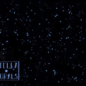 glow in the dark star stickers from artist Stella Murals on Etsy. Stars glow all night and make a realistic night sky for kids bedrooms or adult bedroom decor.