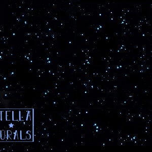 May include: A black background with a scattering of small, white stars. The text "STELLA MURALS" is in a white box in the lower left corner.
