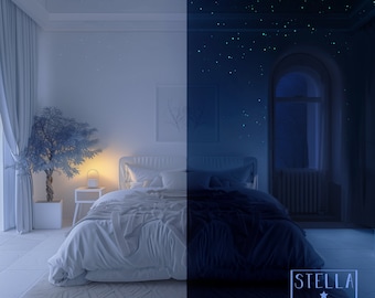 2000 Glow in the Dark Stars for a Realistic and Bright Night Sky | High Tack Extra Strong Adhesive OR Low Tack