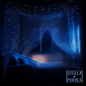Glow in the Dark Star Betthimmel | Weiß | Neu 2025 Himmelbett Design | Deckenbefestigung oder Drapiert über Bettrahmen Sternendecke