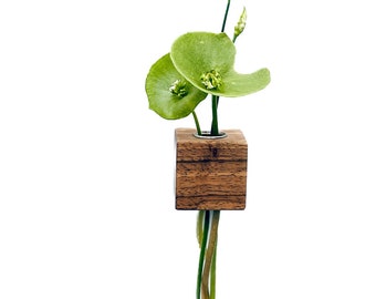 small wooden wall vase for flowers, propagation station for the wall