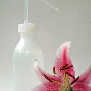 Puede incluir: Una botella de pl&aacute;stico transparente con un largo y delgado pico, llena de l&iacute;quido. Un lirio rosa con manchas marrones y un tallo verde est&aacute; en primer plano.