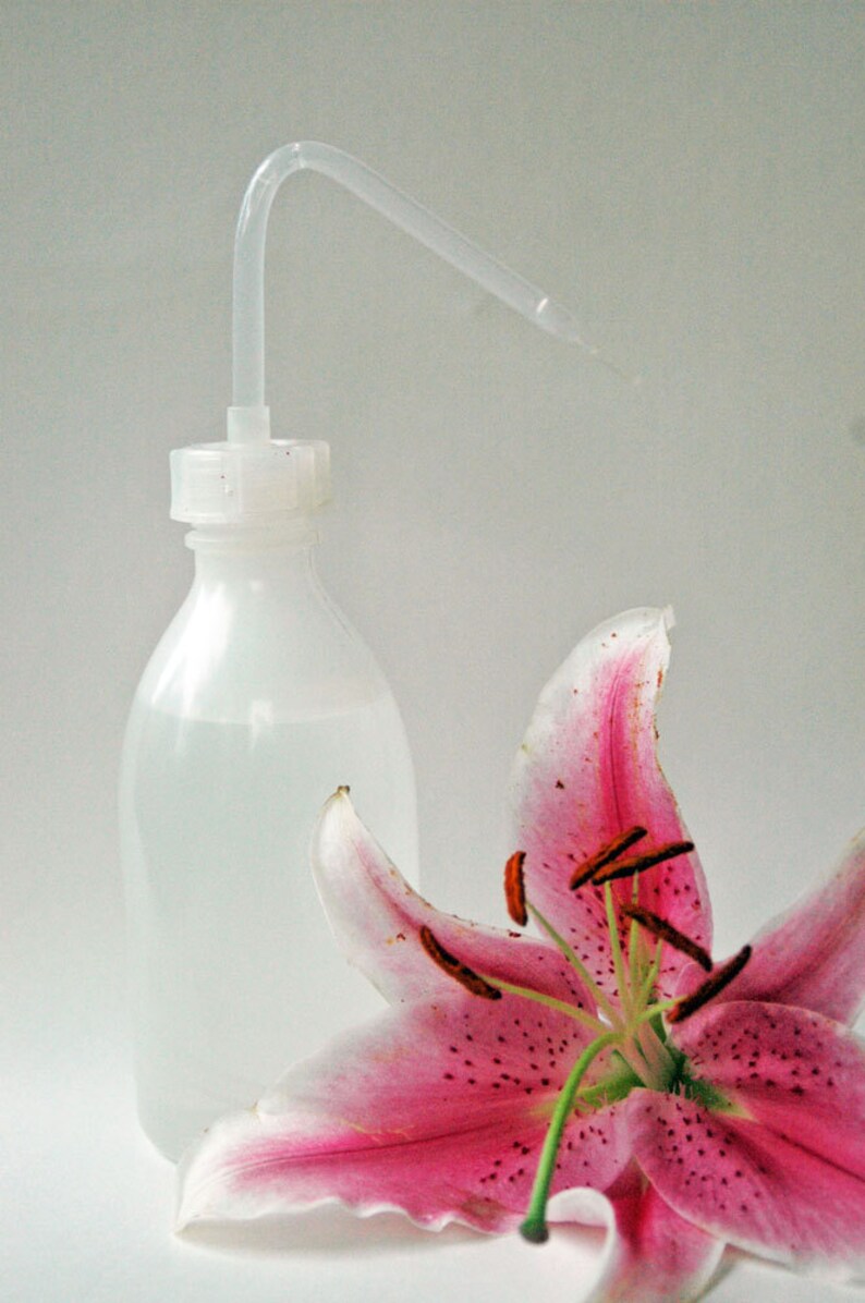 Puede incluir: Una botella de pl&aacute;stico transparente con un largo y delgado pico, llena de l&iacute;quido. Un lirio rosa con manchas marrones y un tallo verde est&aacute; en primer plano.
