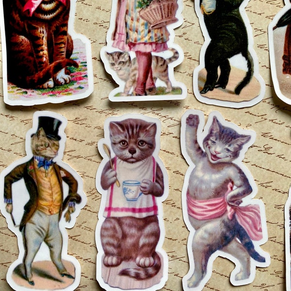 Victorian Cat Etsy