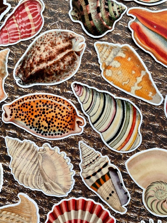 Ocean Sticker Pack Ocean Sticker Pack