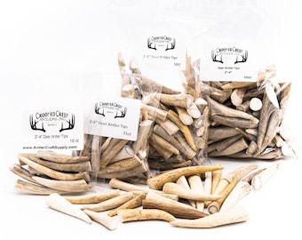 Deer Antler Craft Tips (2-4" Length): Jewelry & Necklace Making