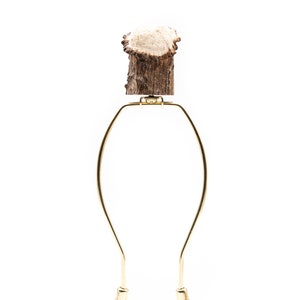 Large Deer Antler Burr Finial with brass insert