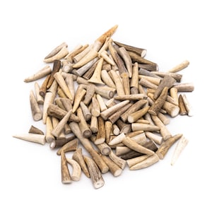 Deer Antler Craft Tips (0.75&quot; - 2&quot; Length) Antler For Crafts - Antler For Jewelry Making - Antler For Necklaces - Antler For Earrings