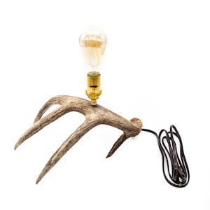 Single Antler Lamp - Antler Table Lamp, Nightlight, Rustic Lighting, Antler Decor, Rustic Home Lighting, Cabin Antler Light