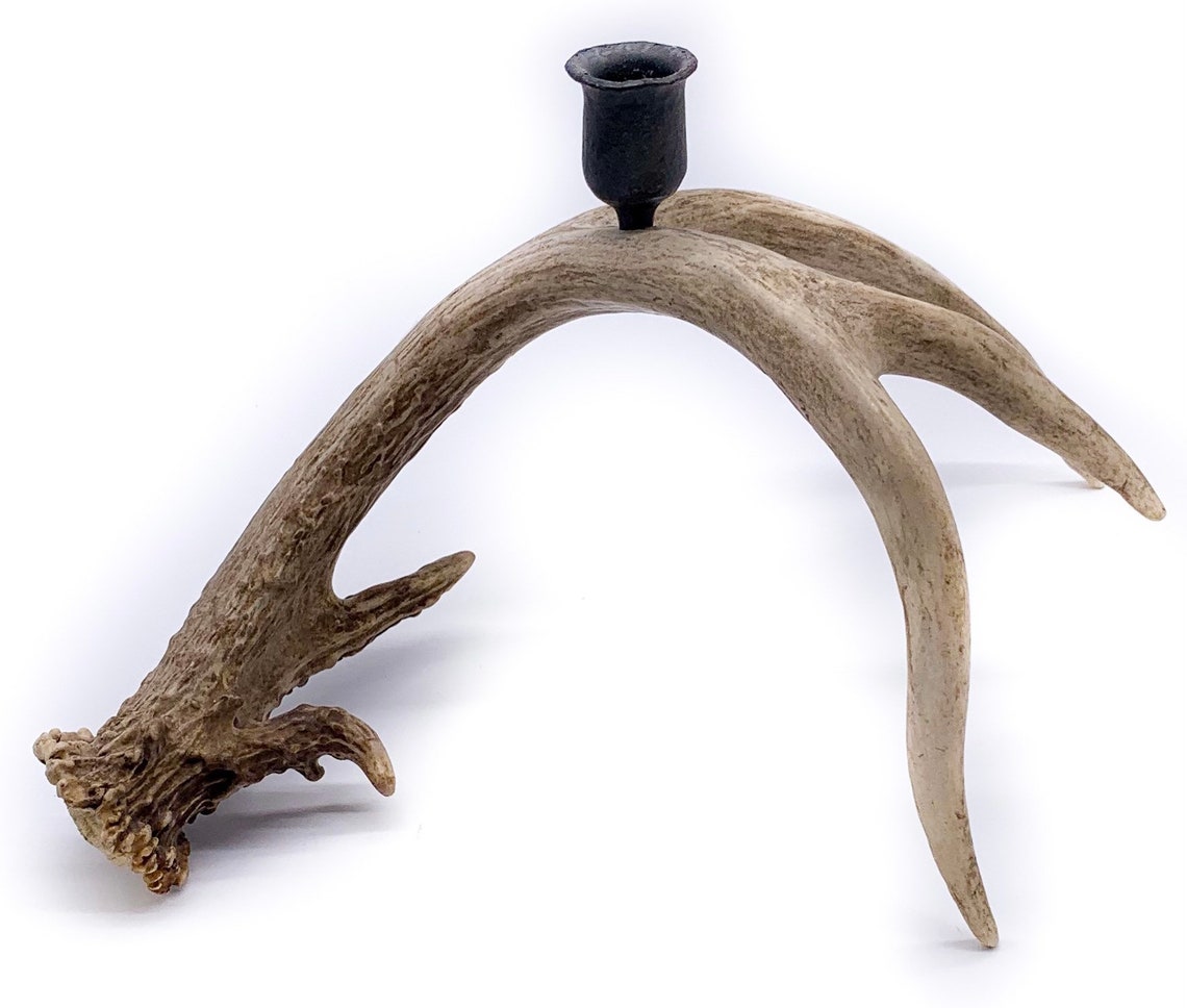 Whitetail Deer Antler Candle Holder Hand Wrought Iron Etsy