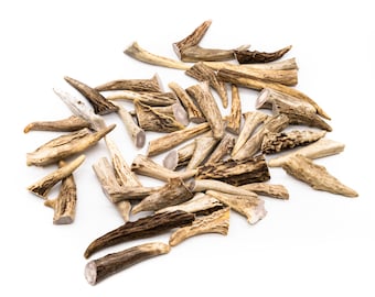 Deer Antler Brow Tines: Natural Shed Antler Pieces for Crafting
