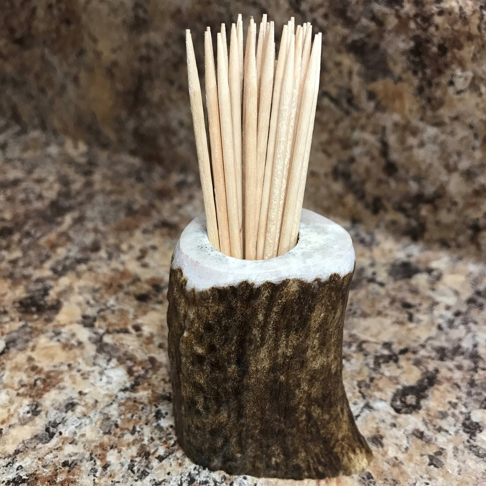 Elk Antler Toothpick Holder Dispenser Teeth Cleaning Small Etsy