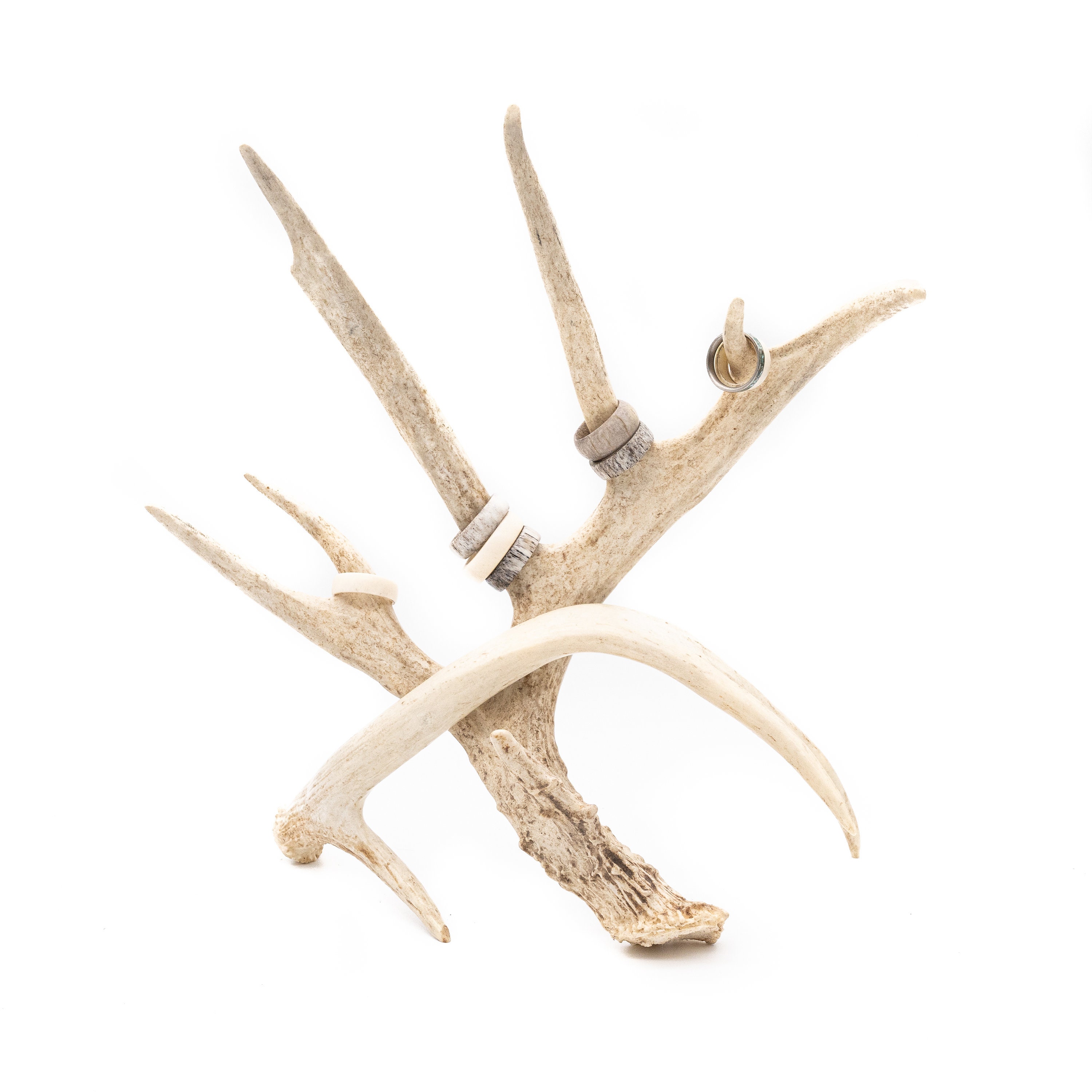 Antler ring holder sale