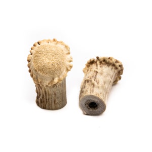 May include: Two natural antler pieces, likely for crafting or decor, are displayed against a white background. The pieces have a light brown color with a textured surface. One piece is upright, and the other is on its side.