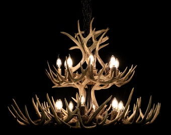 May include: A chandelier made from antlers with multiple light bulbs. The chandelier is lit and the bulbs are glowing.