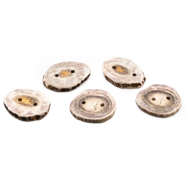 XLarge Antler Buttons, 5 ct