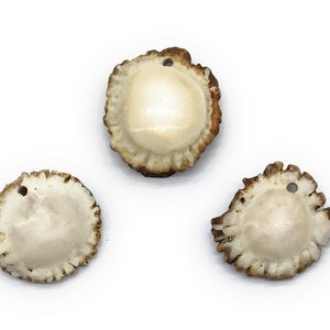 May include: Three round, white, polished deer antler pendants with a hole drilled through the centre. The antler is brown and has a rough, textured edge.
