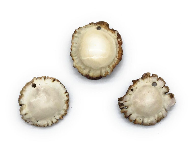 May include: Three round, white, polished deer antler pendants with a hole drilled through the centre. The antler is brown and has a rough, textured edge.