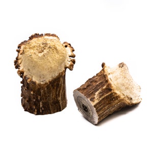 May include: Two brown and white antler dog chews. The chews are different sizes and shapes. One chew is a cylinder with a rounded top. The other chew is a shorter, more rounded shape.