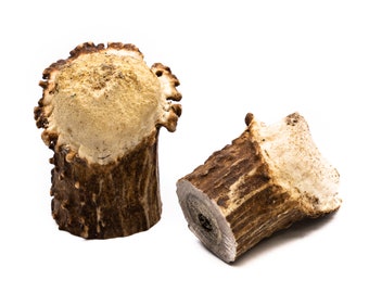 Large Natural Deer Antler Burr Cabinet Knob - Rustic Farmhouse Decor