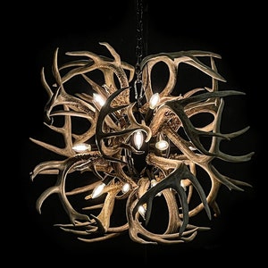 Whitetail Antler Globe Chandelier 14 Light 24+ Antler