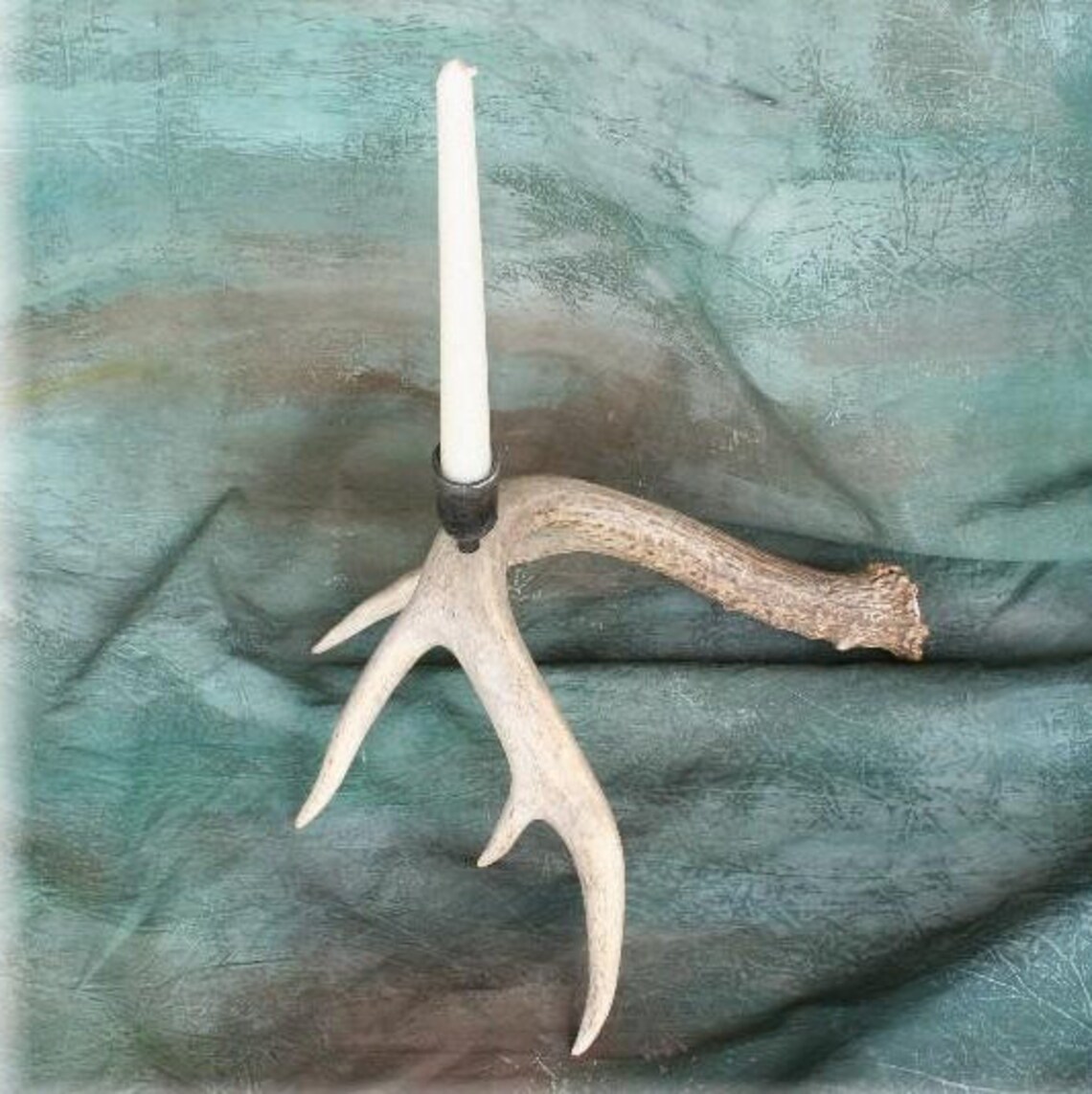 Whitetail Deer Antler Candle Holder Hand Wrought Iron Etsy