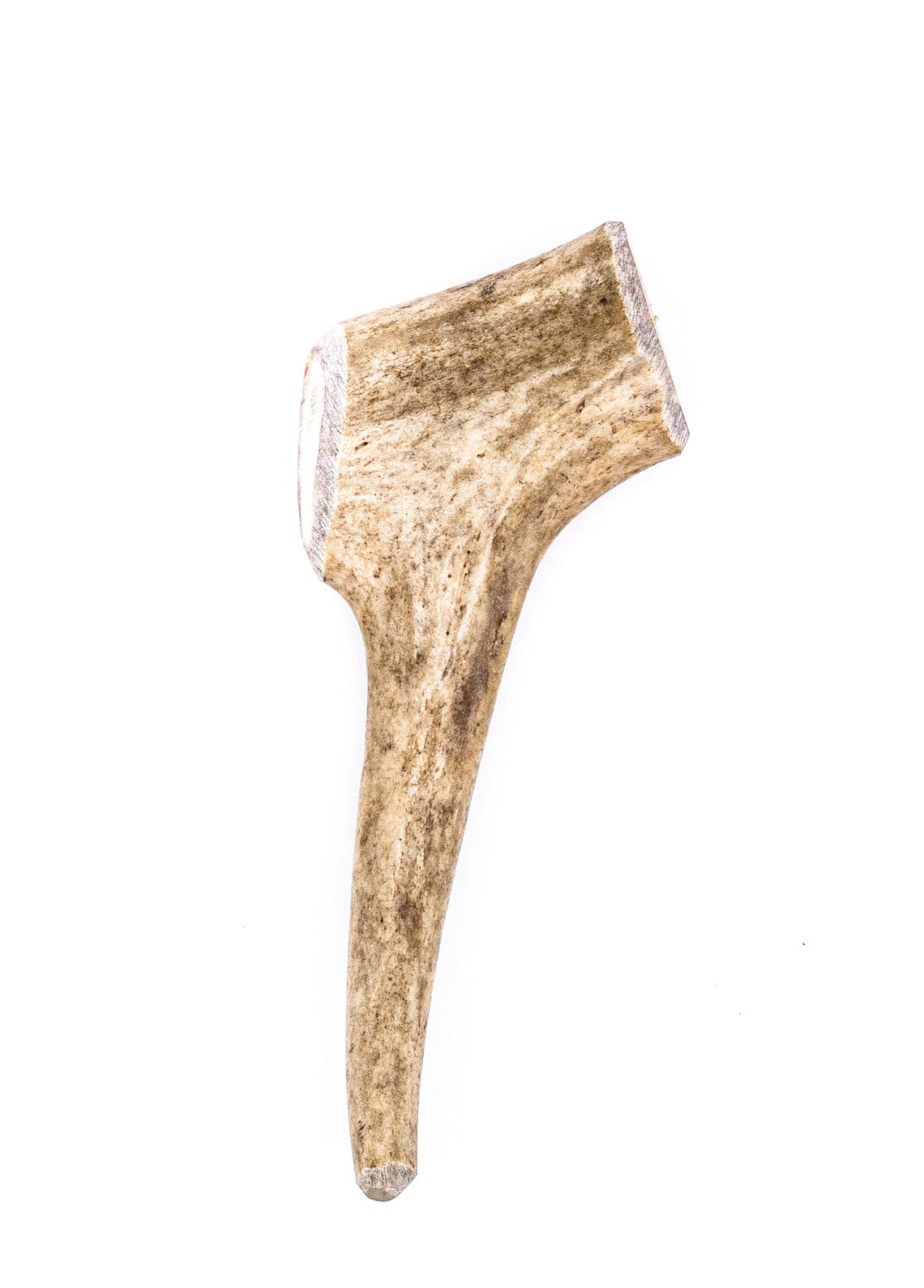 Deer Antler Dog Chew All Natural Grade A Premium Antler Etsy