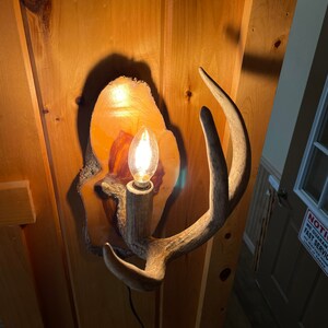 Op de afbeelding: Een houten wandlamp met een gloeilamp en hertengewei accenten. De lamp is gemonteerd op een houten muur.