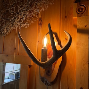 May include: A rustic wooden wall sconce with a light bulb, made from a piece of wood and a set of antlers.