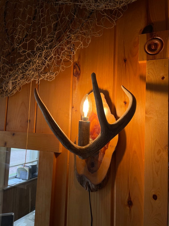 Single Whitetail Antler Wall Sconce - Corded with Inline Switch or hard wired