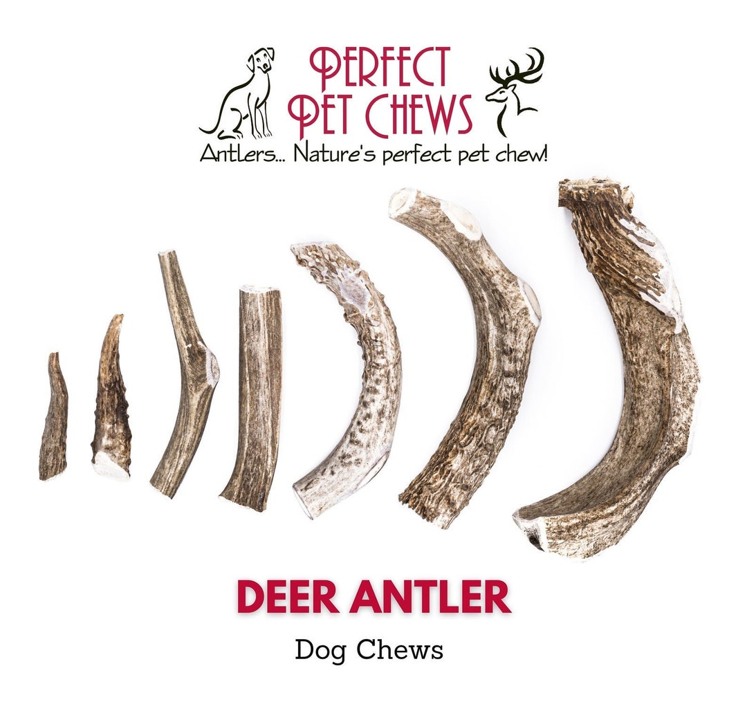 Deer Antler Dog Chews 2 Ct All Natural, Grade A, Premium Antler Dog Treats, Organic Dog Chews