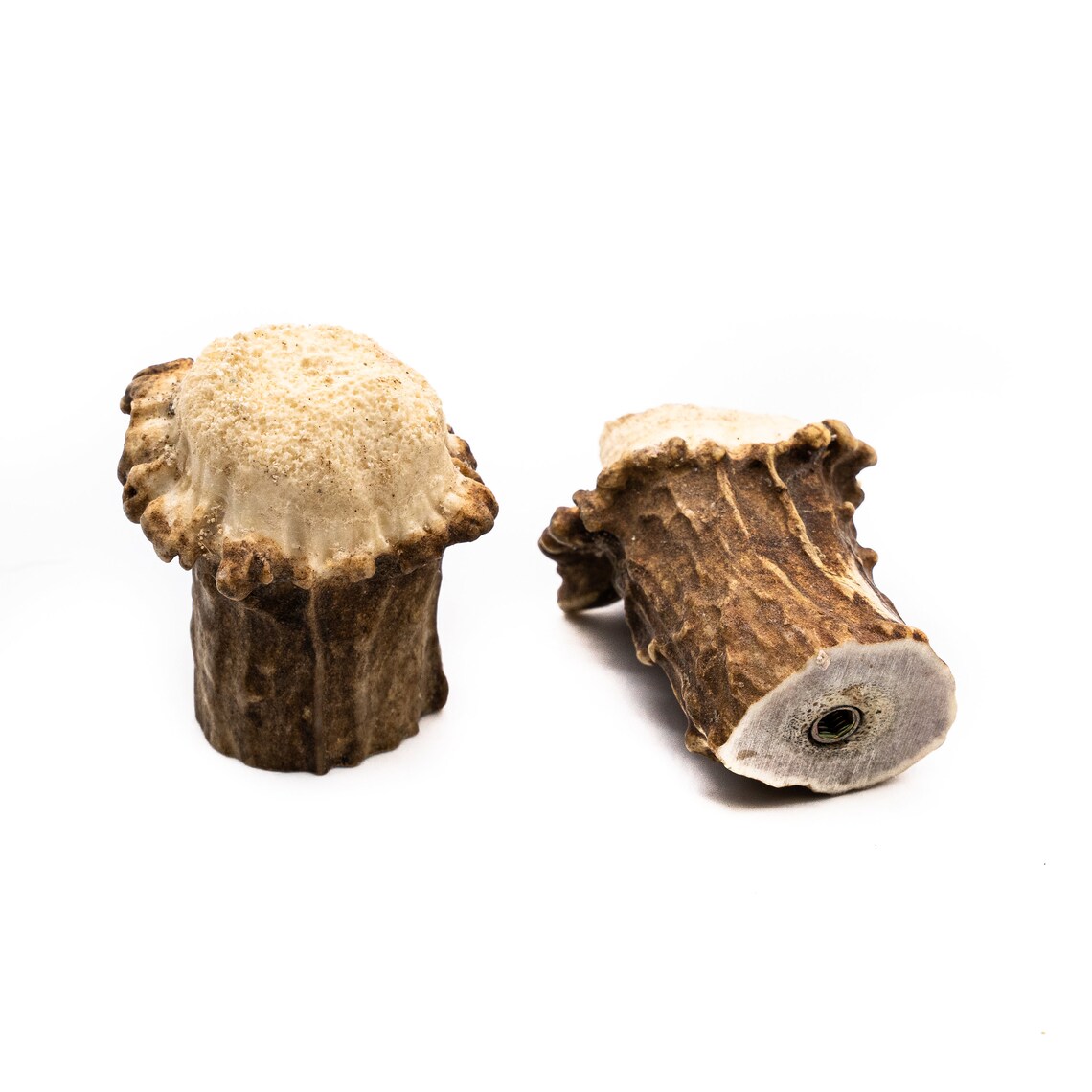 Natural Deer Antler Burr Knob Antler Knobs Etsy