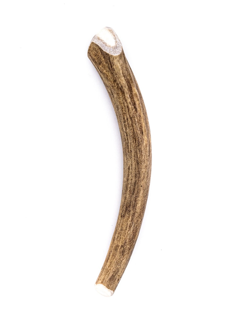 Deer Antler Dog Chew All Natural Grade A Premium Antler Etsy