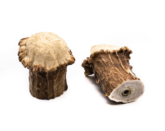 Natural Deer Antler Burr Cabinet Pull: Rustic Farmhouse Decor