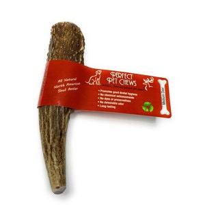 Perfect Pet Chew: Medium Deer Antler-All Natural, Grade A, Premium Antler Dog Treats, Organic Dog Chews, Naturally Shed Antlers from USA
