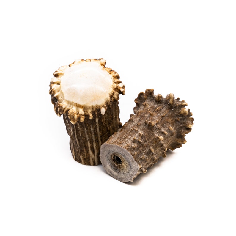 Polished Deer Antler Burr Knob Antler Knobs Etsy