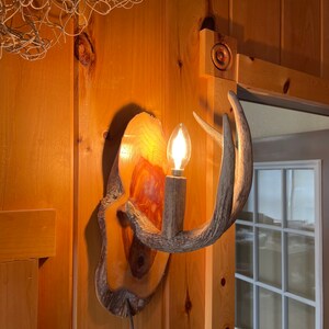 Op de afbeelding: Een houten wandlamp met een gloeilamp en een hertengewei-ontwerp. De lamp is gemonteerd op een houten muur en wordt verlicht door een gloeilamp. De lamp is gemaakt van natuurlijke materialen en heeft een rustieke uitstraling.
