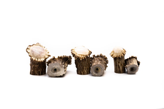 Polished Deer Antler Burr Cabinet Knob: Rustic Drawer Handle