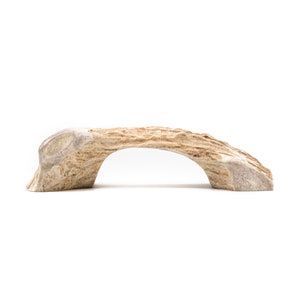 May include: A natural antler bridge, perfect for a terrarium or reptile habitat. The antler is light brown with a natural, rough texture.