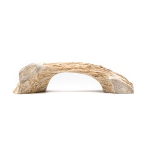 May include: A natural antler bridge, perfect for a reptile or small animal enclosure. The antler is light brown with a natural, rough texture.