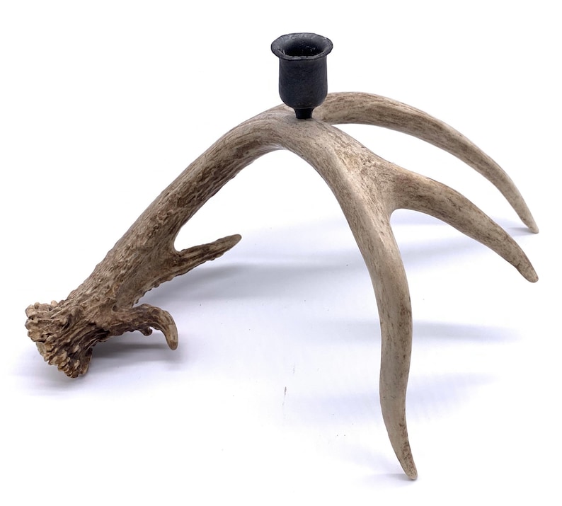 Whitetail Deer Antler Candle Holder Hand Wrought Iron Etsy