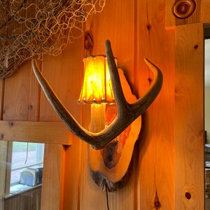 Op de afbeelding: Een houten wandlamp met een lichtbruin hertengewei en een cr&egrave;mekleurige lampenkap. De lampenkap is verlicht en geeft een warm licht. De lamp is gemonteerd op een houten muur.