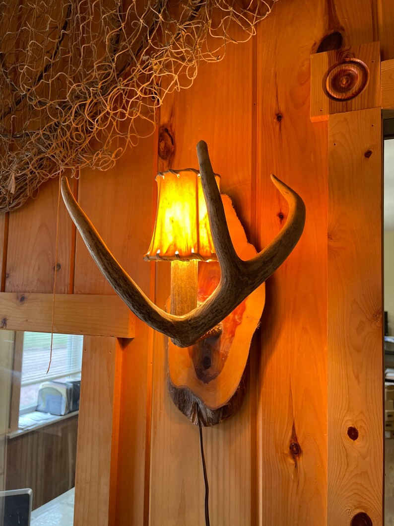 Op de afbeelding: Een houten wandlamp met een lichtbruin hertengewei en een cr&egrave;mekleurige lampenkap. De lampenkap is verlicht en geeft een warm licht. De lamp is gemonteerd op een houten muur.