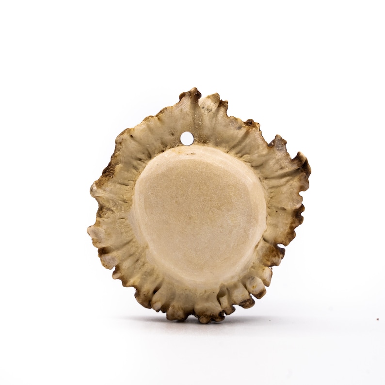 May include: A light brown antler with a hole in the centre, the antler is shaped like a circle with a rough, textured edge.