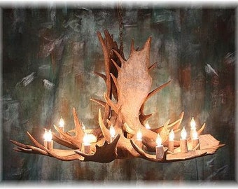 May include: A rustic chandelier made from a large, natural antler with multiple candle-like lights. The antler is a light brown color and has a natural, rough texture. The chandelier is hanging from a chain and is illuminated by the warm glow of the lights.