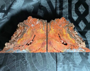 Gem Grade Petrified Wood Bookends Araucaria “Arizona Rainbow Wood” - a Pair