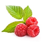 RetroRubyRaspberry